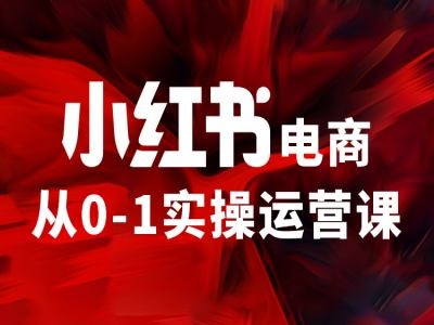小红书电商从0-1实操运营课，让你从小白到精英-数智网创