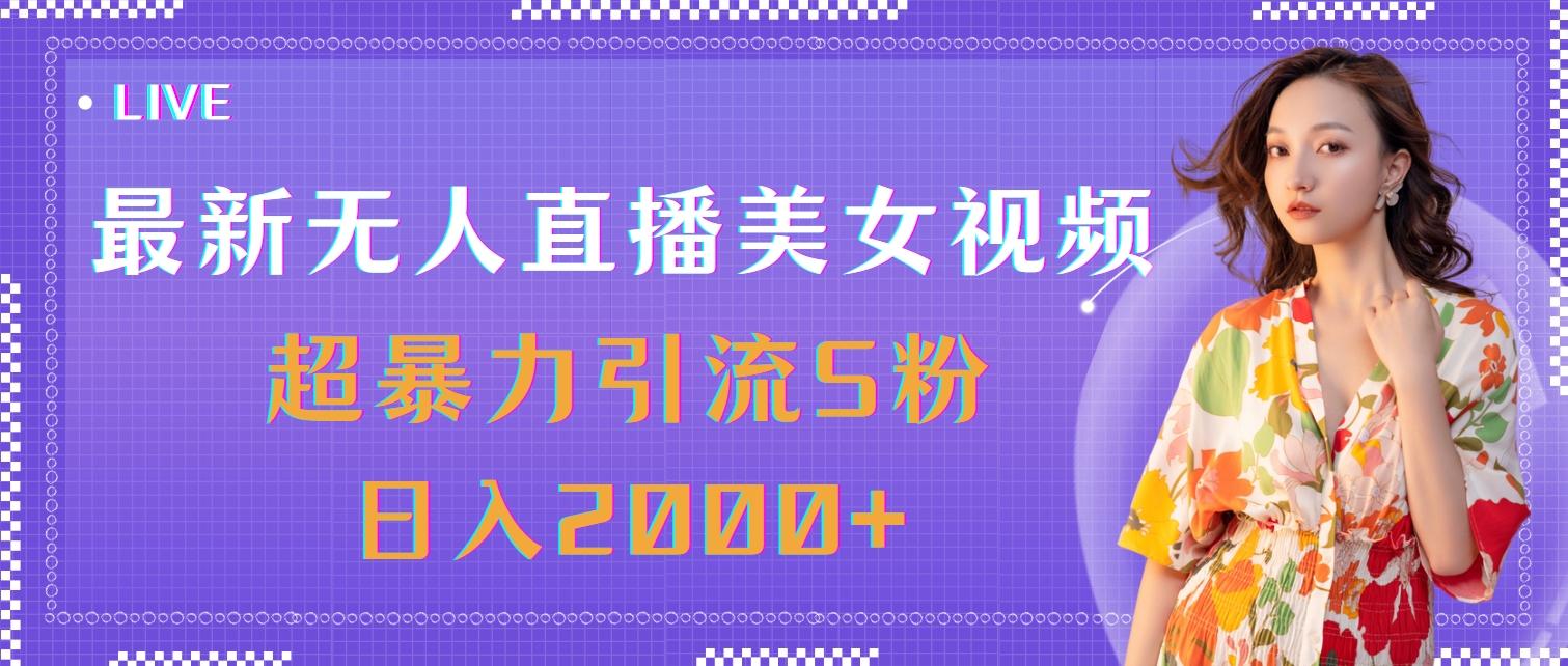 最新无人直播美女视频，超暴力引流S粉日入2000+-数智网创