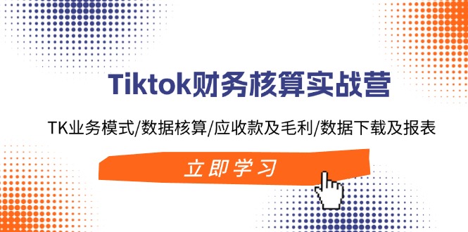 Tiktok财务核算实战营：TK业务模式/数据核算/应收款及毛利/数据下载及报表-数智网创