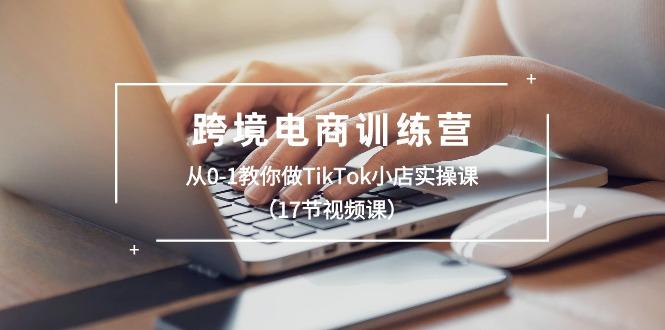 跨境电商训练营：从0-1教你做TikTok小店实操课(17节视频课-数智网创