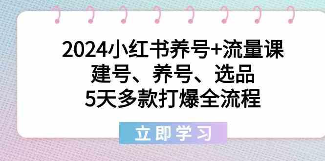 2024小红书养号+流量课：建号、养号、选品，5天多款打爆全流程-数智网创