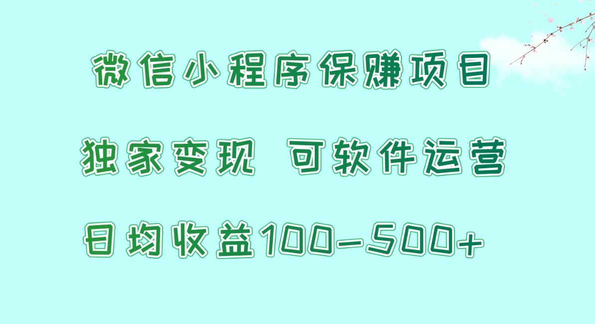 微信小程序保赚项目，日均收益100~500+，独家变现，可软件运营-数智网创