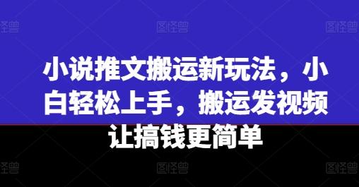 小说推文搬运新玩法，小白轻松上手，搬运发视频让搞钱更简单-数智网创
