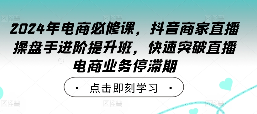 2024年电商必修课，抖音商家直播操盘手进阶提升班，快速突破直播电商业务停滞期-数智网创
