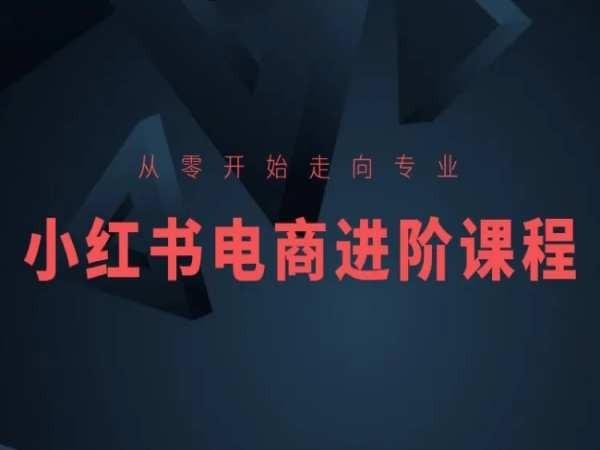 从零开始走向专业，小红书电商进阶课程-数智网创