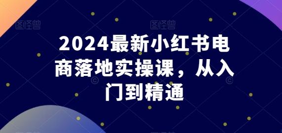 2024最新小红书电商落地实操课,从入门到精通-数智网创