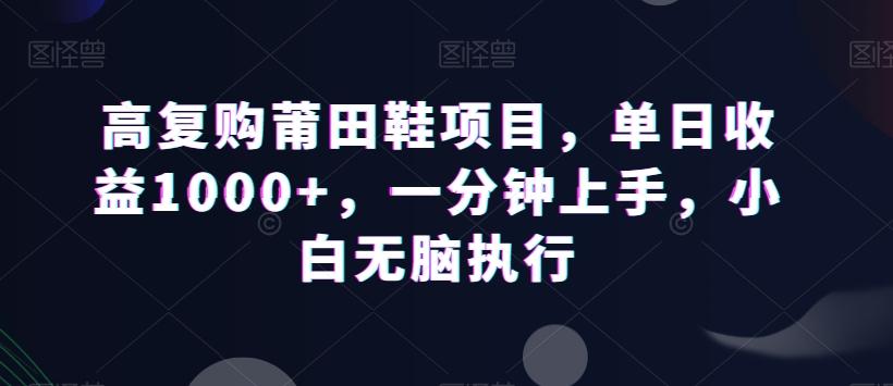 高复购莆田鞋项目，单日收益1000+，一分钟上手，小白无脑执行-数智网创