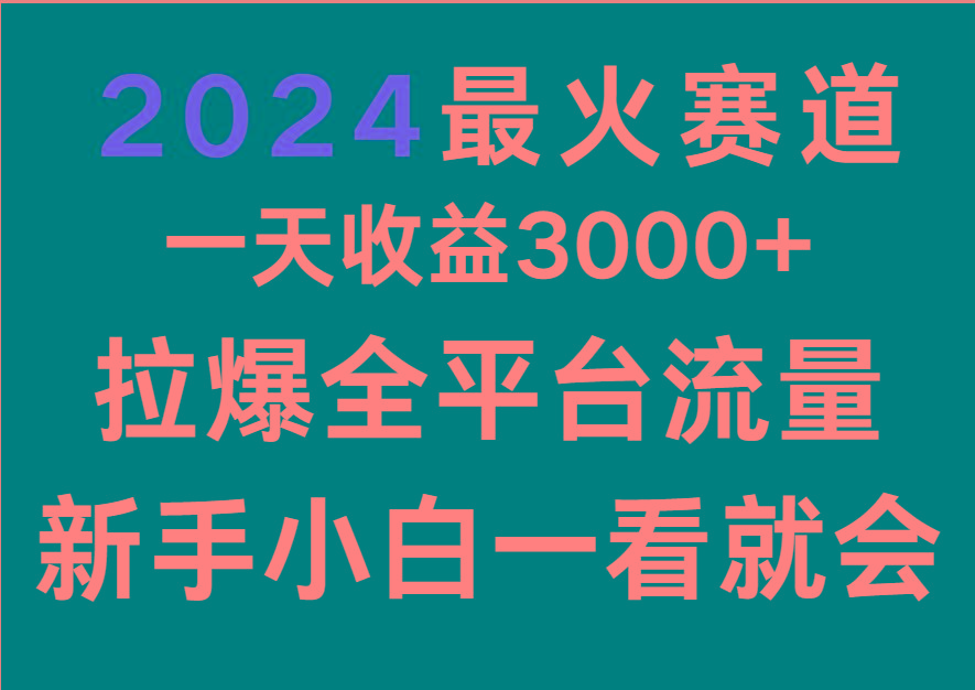 2024最火赛道，一天收一3000+.拉爆全平台流量，新手小白一看就会-数智网创