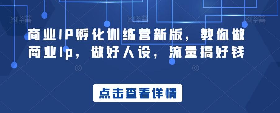 商业IP孵化训练营新版，教你做商业Ip，做好人设，流量搞好钱-数智网创