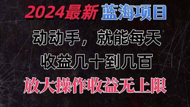 有手就行的2024全新蓝海项目，每天1小时收益几十到几百，可放大操作收…-数智网创