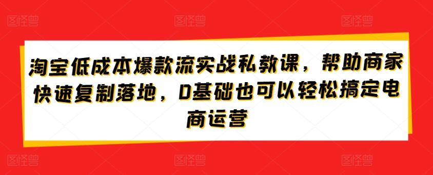 淘宝低成本爆款流实战私教课，帮助商家快速复制落地，0基础也可以轻松搞定电商运营-数智网创