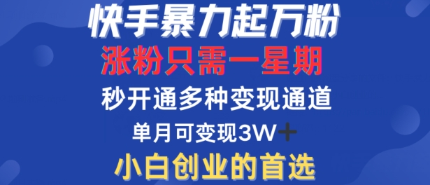 快手暴力起万粉，涨粉只需一星期，多种变现模式，直接秒开万合，单月变现过W【揭秘】-数智网创