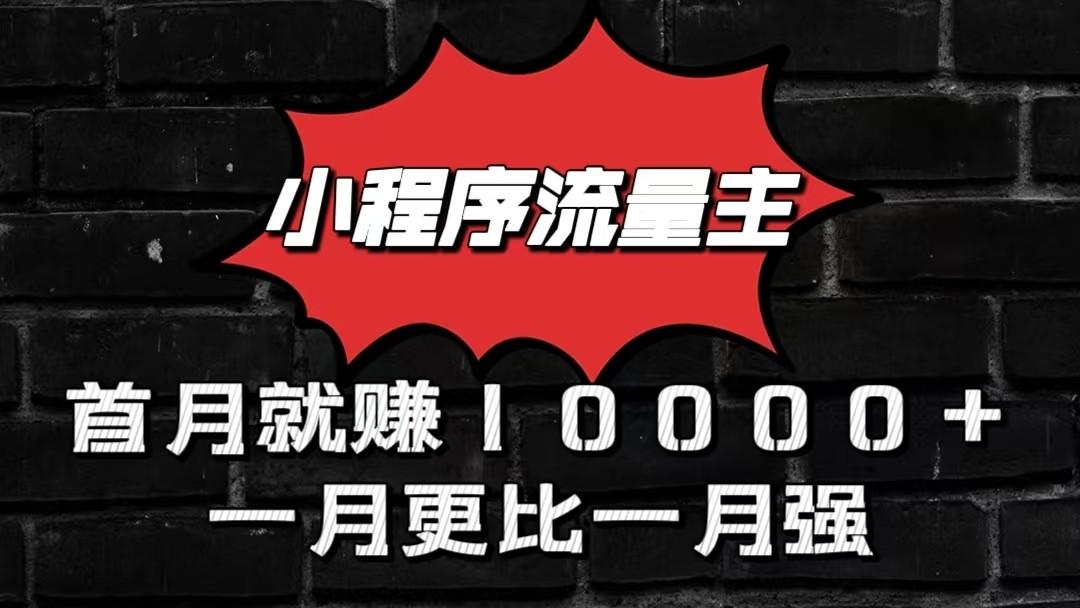 小程序流量主首月就赚10000+，一月更比一月强！小本创业首选-数智网创