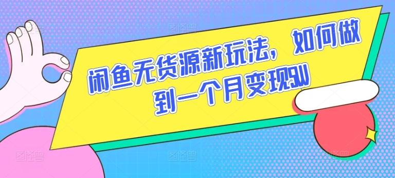 闲鱼无货源新玩法，如何做到一个月变现5W【揭秘】-数智网创