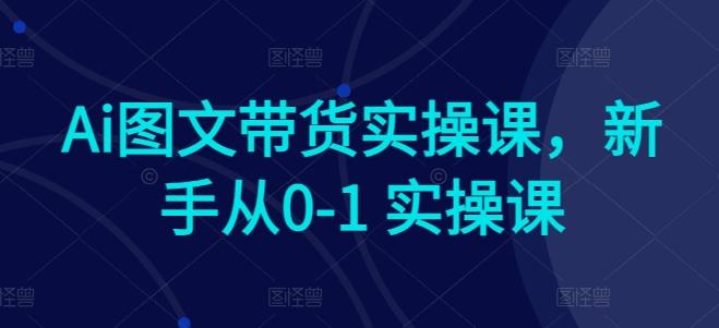 Ai图文带货实操课，新手从0-1 实操课-数智网创