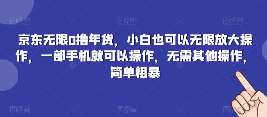 京东无限0撸年货，小白也可以无限放大操作，一部手机就可以操作，无需其他操作，简单粗暴-数智网创