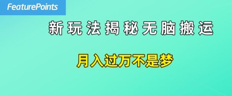 简单操作，每天50美元收入，搬运就是赚钱的秘诀【揭秘】-数智网创