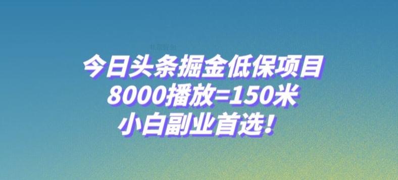 今日头条掘金低保项目，8000播放=150米，小白副业首选【揭秘】-数智网创