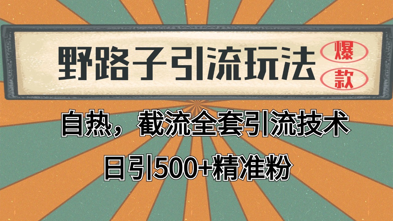 抖音小红书视频号全平台引流打法，全自动引流日引2000+精准客户-数智网创