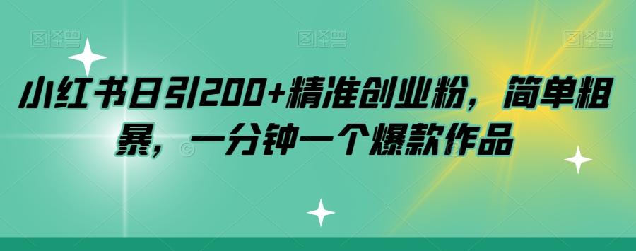 小红书日引200+精准创业粉，简单粗暴，一分钟一个爆款作品【揭秘】-数智网创