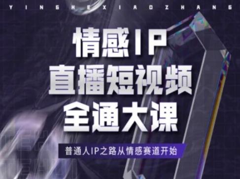 情感IP直播短视频全通大课，普通人IP之路从情感赛道开始-数智网创