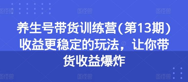 养生号带货训练营(第13期)收益更稳定的玩法，让你带货收益爆炸-数智网创