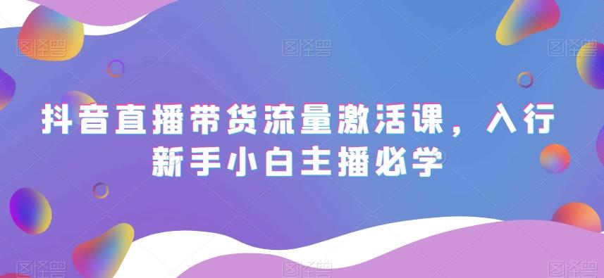 抖音直播带货流量激活课，入行新手小白主播必学-数智网创