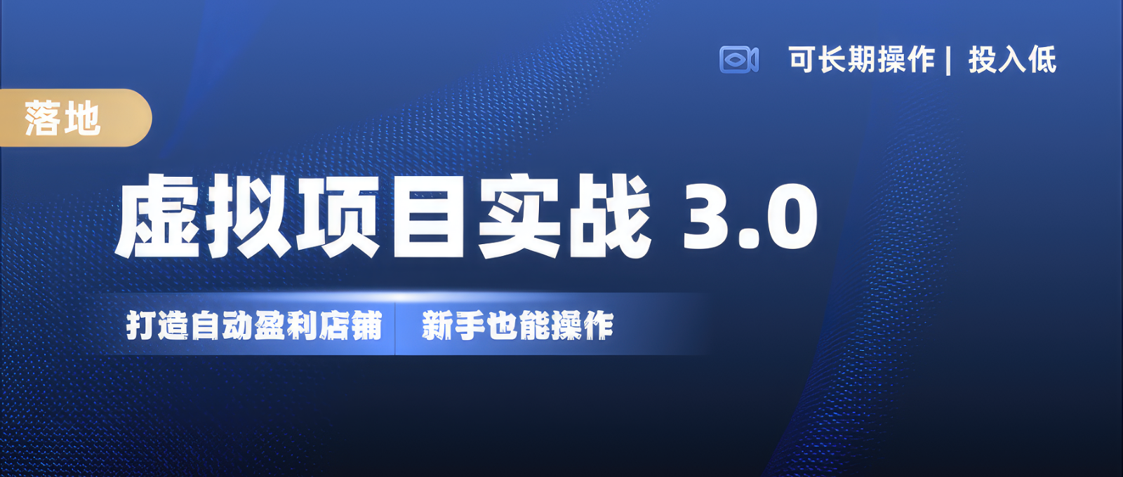 虚拟项目实操落地 3.0,新手轻松上手，单品月入1W+-数智网创
