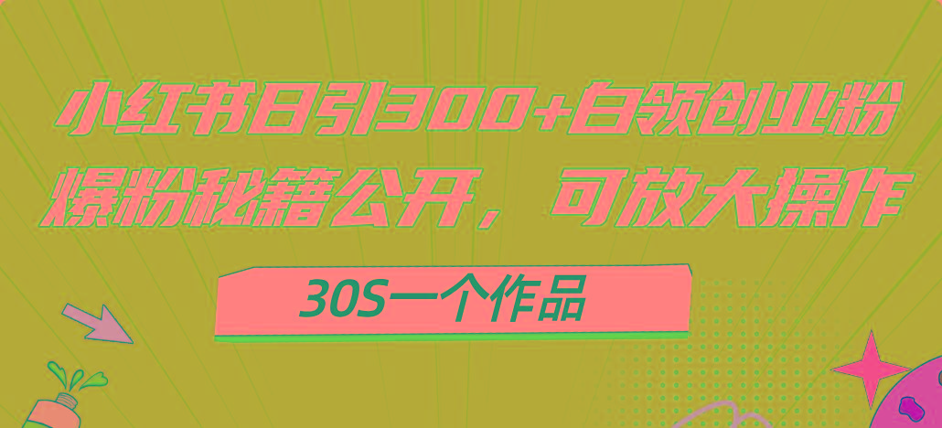 小红书日引300+高质白领创业粉,可放大操作,爆粉秘籍!30s一个作品-数智网创
