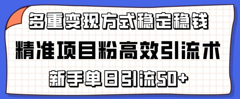 精准项目粉高效引流术，新手单日引流50+，多重变现方式稳定赚钱【揭秘】-数智网创
