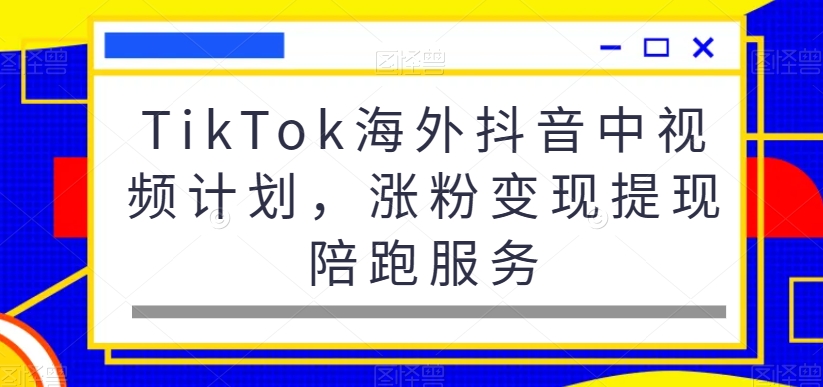 TikTok海外抖音中视频计划，涨粉变现提现陪跑服务-数智网创