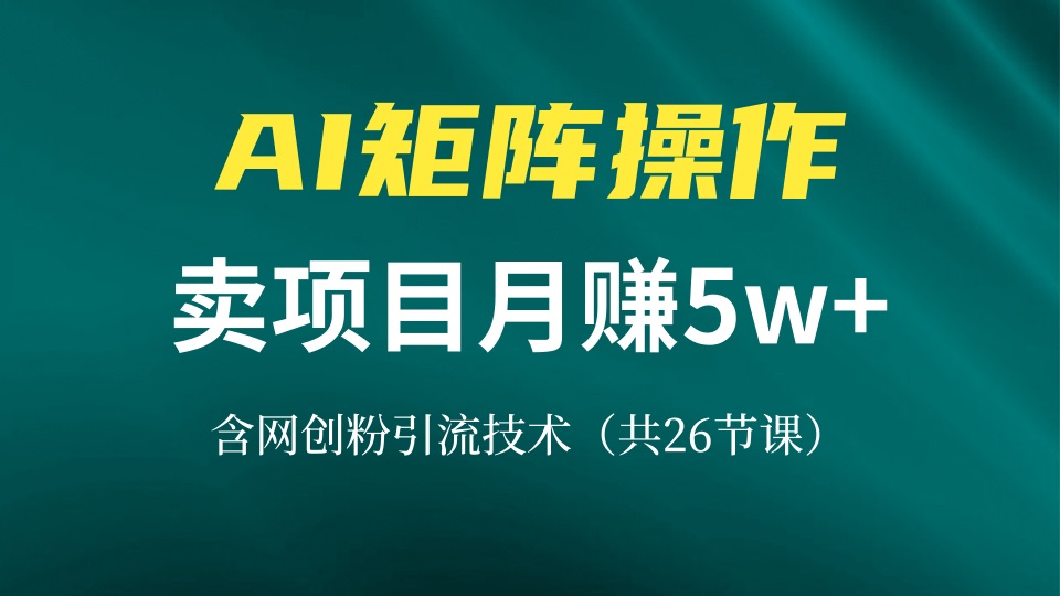 网创IP打造课，借助AI卖项目月赚5万+，含引流技术(共26节课-数智网创
