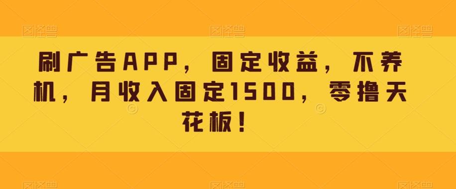 刷广告APP，固定收益，不养机，月收入固定1500，零撸天花板！-数智网创