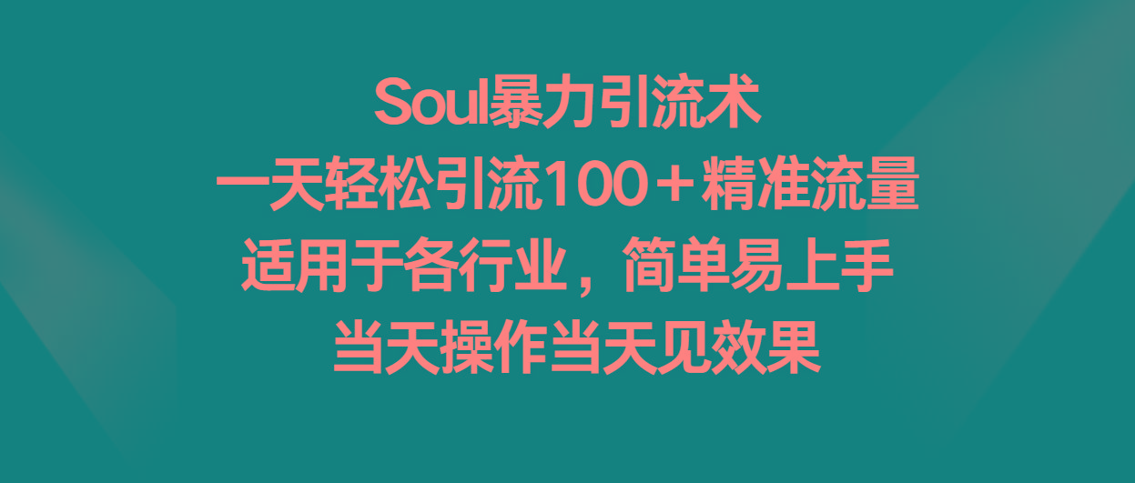 Soul暴力引流术，一天轻松引流100＋精准流量，适用于各行业，简单易上手！-数智网创