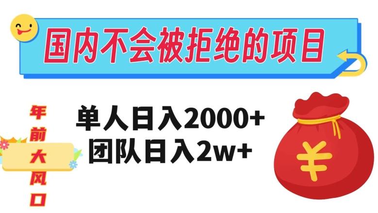在国内不怕被拒绝的项目，单人日入2000，团队日入20000+【揭秘】-数智网创