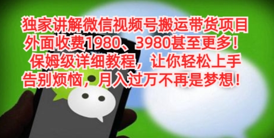 独家讲解微信视频号搬运带货项目，保姆级详细教程-数智网创