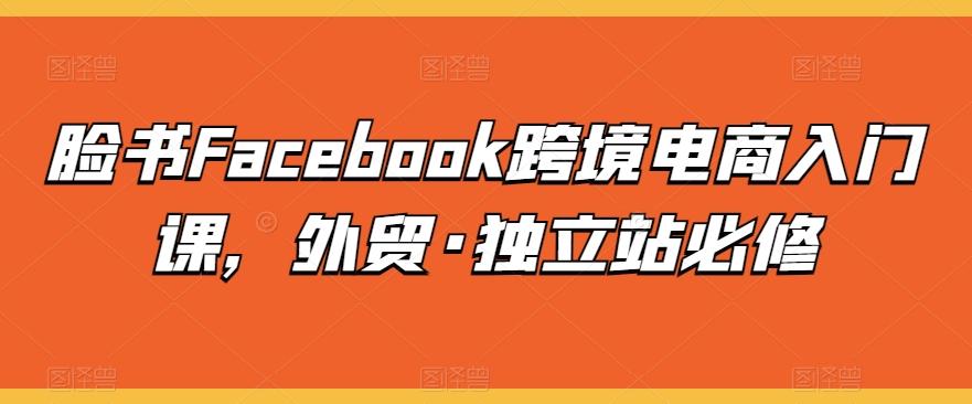 脸书Facebook跨境电商入门课，外贸·独立站必修-数智网创