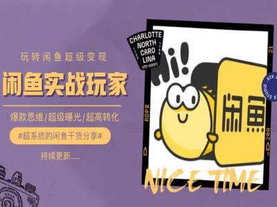 手把手教你0到1系统玩转闲鱼变现，爆款思维/超级曝光/超高转化-数智网创