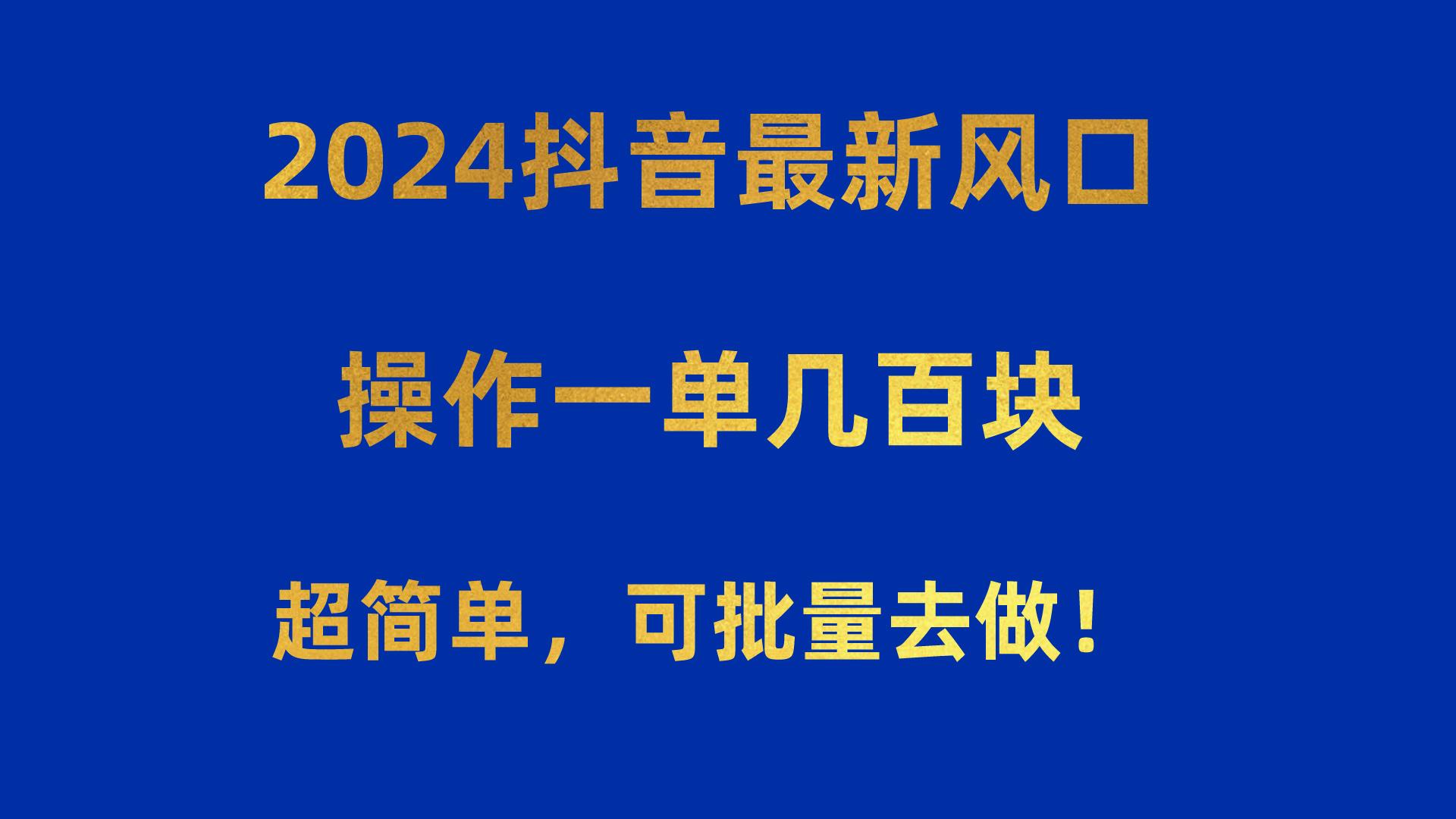 2024抖音最新风口！操作一单几百块！超简单，可批量去做！！！-数智网创