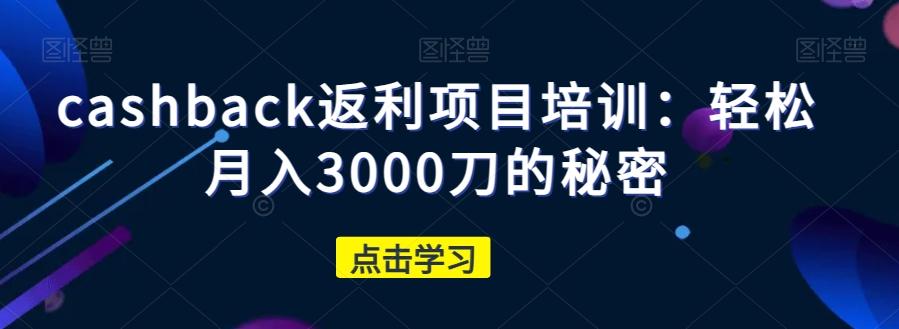 cashback返利项目培训：轻松月入3000刀的秘密-数智网创
