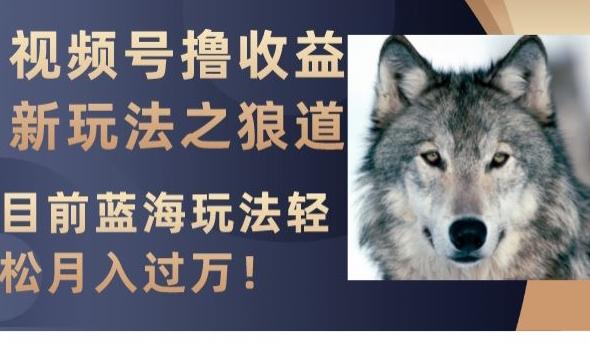 视频号撸收益新玩法之狼道，目前蓝海玩法，轻松月入过万【揭秘】-数智网创