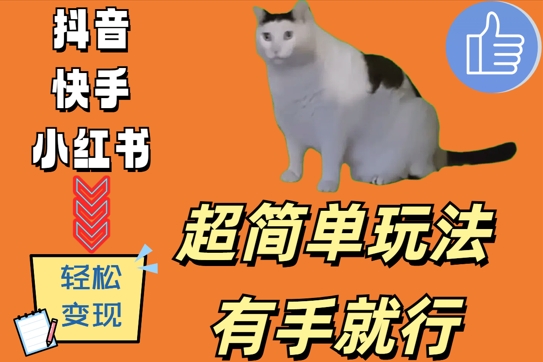 超简单玩法,有手就行,靠猫咪视频日入500+【揭秘】-数智网创