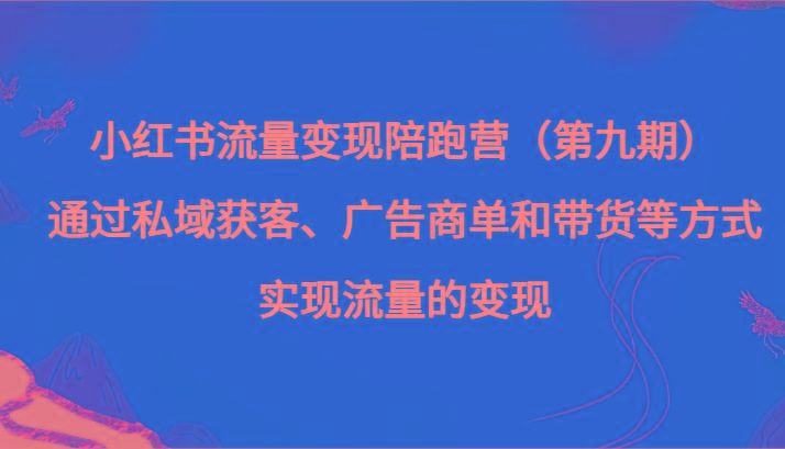 小红书流量变现陪跑营（第九期）通过私域获客、广告商单和带货等方式实现流量变现-数智网创