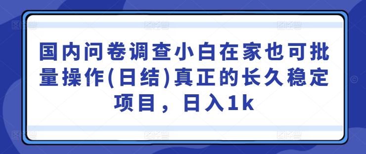 国内问卷调查小白在家也可批量操作(日结)真正的长久稳定项目，日入1k【揭秘】-数智网创