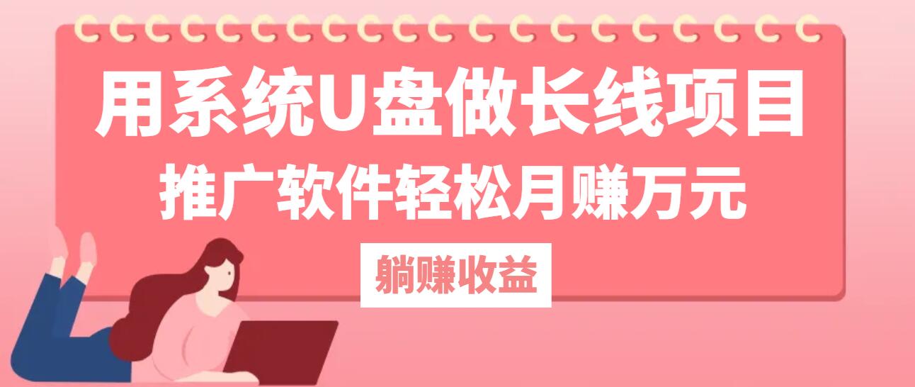 用系统U盘做长线项目，推广软件轻松月赚万元-数智网创