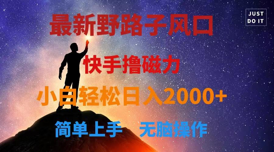 最新风口！快手撸磁力，野路子，小白无脑操作日入2000+-数智网创