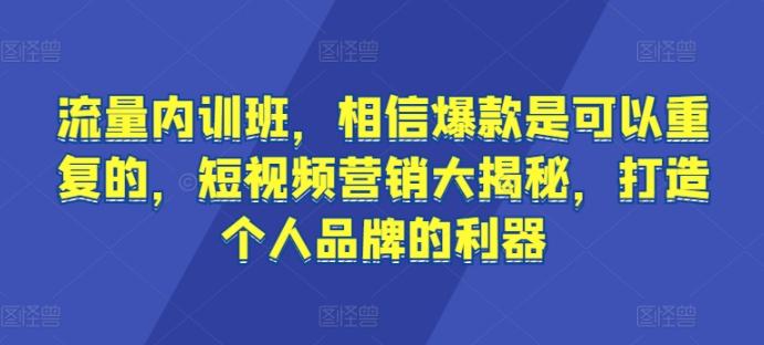 流量内训班，相信爆款是可以重复的，短视频营销大揭秘，打造个人品牌的利器-数智网创