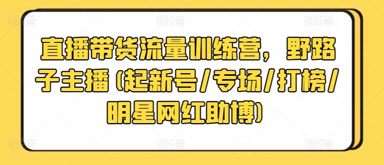 直播带货流量训练营，野路子主播(起新号/专场/打榜/明星网红助博)-数智网创