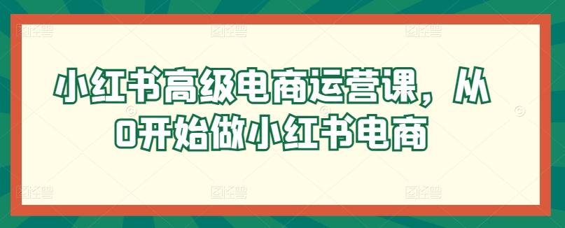 小红书高级电商运营课，从0开始做小红书电商-数智网创