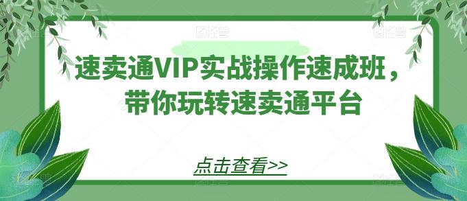 速卖通VIP实战操作速成班，带你玩转速卖通平台-数智网创